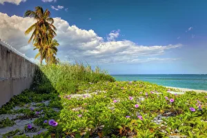 Atlantic Ocean Beach Scene Drucke: Florida, Palm Beach, beach