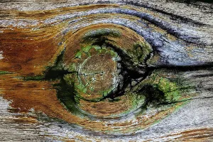 Muster im Holz