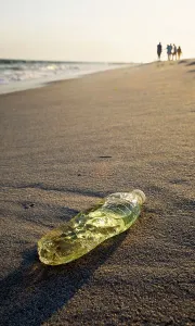 August Drucke: Kunststoffflasche auf einer Strandseite