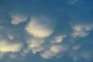 Mammatus Clouds Drucke: Puffy clouds