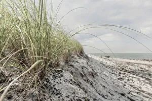 American Beach Scene Drucke: Sand dunes on the beach