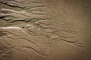 American Beach Scene Drucke: Sand Water Pattern