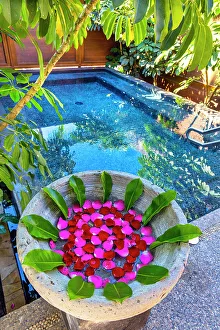 Calm And Peaceful Atmosphere Drucke: Serene pool scene
