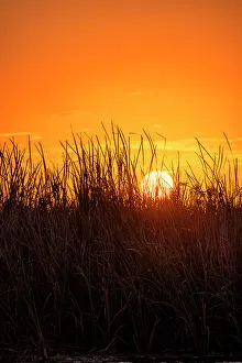 Sonnenuntergang über die Everglades