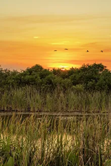 Sonnenuntergang über dem See
