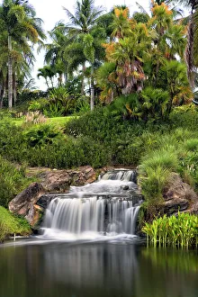 Tropical Waterfall Drucke: Tropical waterfall