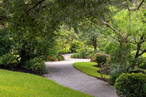 Japanese Garden Scenery Drucke: Winding garden path