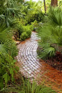 Palm Frond Photography Drucke: Winding path in garden
