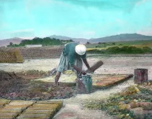 "In Biskra"