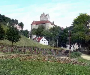 Lake Constance Castle Drucke: Bodensee