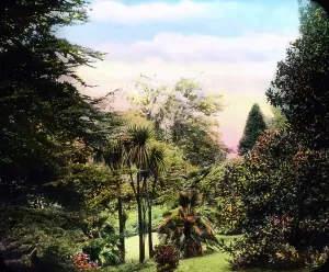Der Comer See: Der weit ausgedehnte Garten der Villa Carlotta bei Tremezzo und Cadenabbia.
