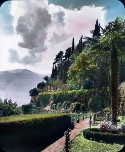 Mediterranean Vegetation Drucke: Der Comer See