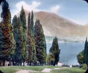 Cypress Trees In Italy Drucke: Der Comer See