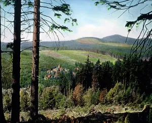 Blick auf das Dorf Schierke im Harz.