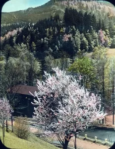 Germany Landscape Photographs Drucke: Deutscher Abend