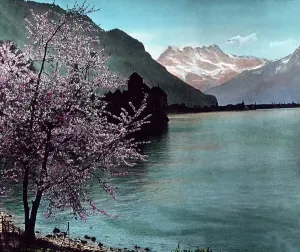 Chillon Castle Switzerland Drucke: Gotthard Simplon Bahn