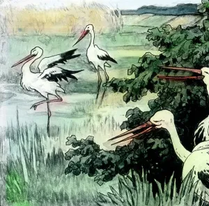Carl Simon Illustration Drucke: Marchen Märchen
