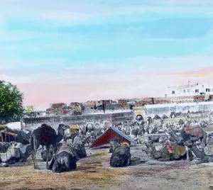 Morocco Market Scene Drucke: Marokko