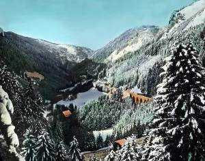 Winter In The Black Forest Drucke: Schwarzwald