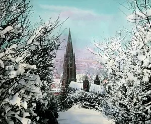 Freiburg Minster Drucke: Schwarzwald