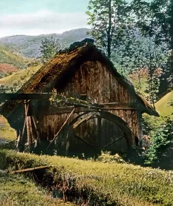 Black Forest Nature Scene Drucke: Schwarzwald