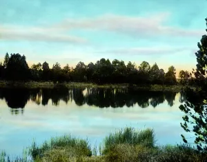 Black Forest Lake Drucke: Schwarzwald