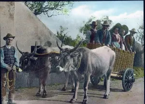 Ancient Transportation Methods Drucke: Venedig