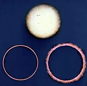 Astronomy Science History Drucke: Vulkanismus