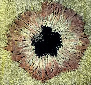 Solar System Images Drucke: Vulkanismus