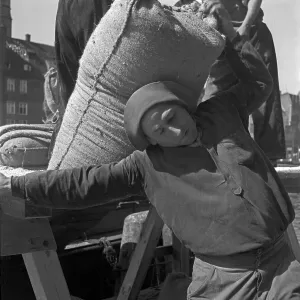 Hafenarbeiter laden Säcke in den Hafen von Danzig, Deutschland, 1930er Jahre.