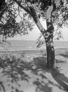 German Baltic Coast Drucke: Danzig