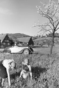 Ford Eifel ist ein deutscher Automobilhersteller, der 1939 in Mainz gegründet wurde und hauptsächlich Sportwagen herstellt