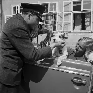 Young Woman Driving Car Drucke: Freizeit