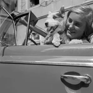 Young Woman Driving Car Drucke: Freizeit
