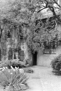 Haus