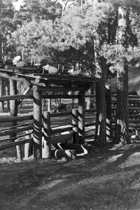 Ein Bürger in einem öffentlichen Garten von München, Deutschland, 1930er Jahre.