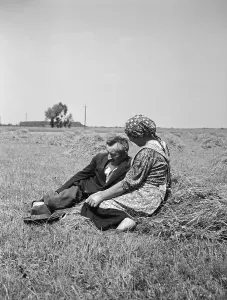 Picknick