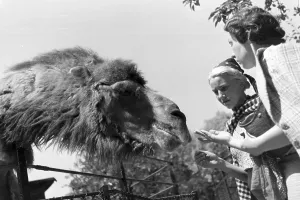 Zoological Garden Germany Drucke: Stuttgart