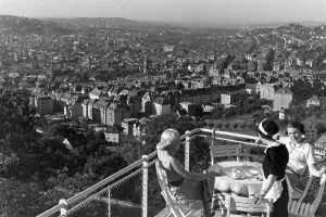 Panoramic View Of Stuttgart Drucke: Stuttgart