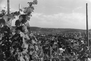 Stuttgart