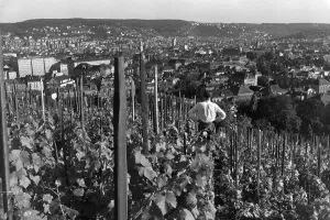 Panoramic View Of Stuttgart Germany Drucke: Stuttgart