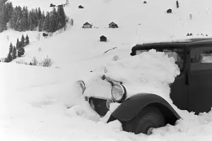 Winter