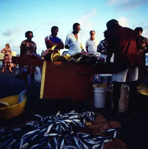 Barbados