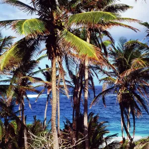 Barbados