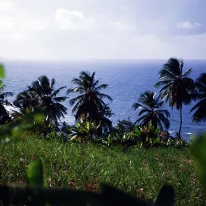 Barbados
