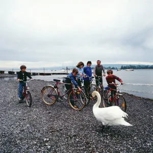 Bodensee