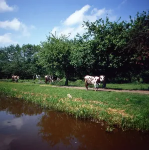 Bretagne