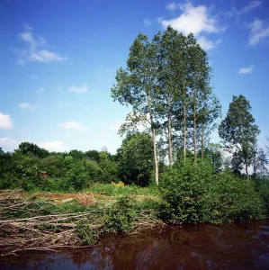Bretagne Uferlandschaft an einem kleinen Fluss in der Bretagne, Frankreich um 1984