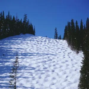 Colorado