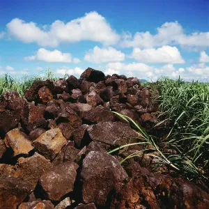 Mauritius Tourism Drucke: Mauritius